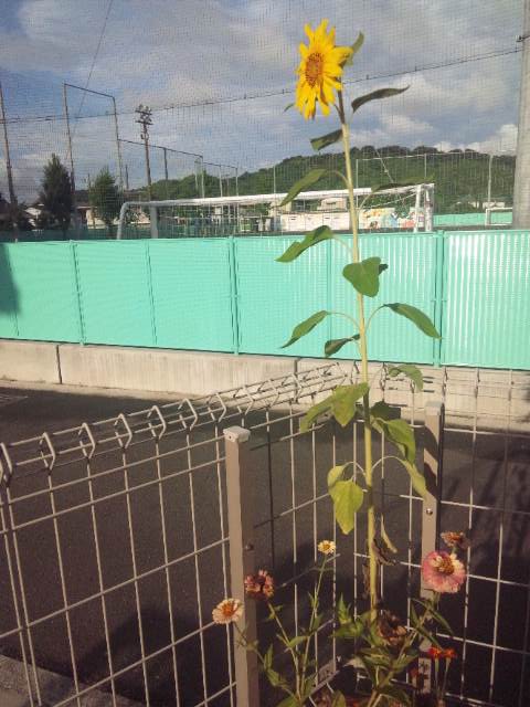 こっちが東かな？