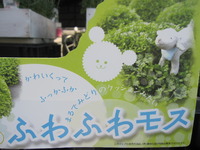 ☆ふわふわモス☆