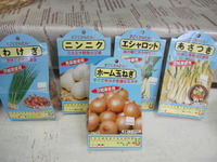 秋植え野菜球根