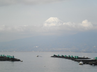 沼津・静浦地区の地形、津波　