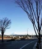 冬の富士山