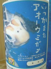 沖縄ダジャレお土産