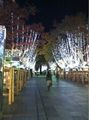 市内ｳｫｰｷﾝｸﾞも兼ねて