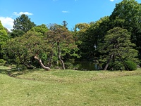 仕事をするには勿体ない天気