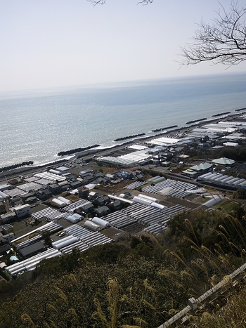 ★イチゴと東照宮と海岸線★