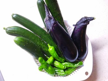 ☆野菜収穫！！！☆