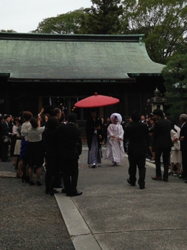 おぉ大井神社☆