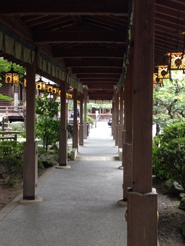 おぉ大井神社☆
