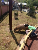 富士☆サファリパーク