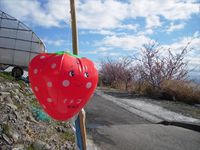 まだまだ、支援員を募集中！！