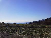 20150113