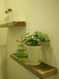 チョコっと棚♪ 2009/05/28 19:58:37