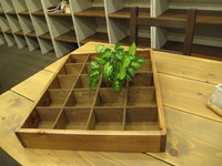 急なお客様!? 2009/10/21 23:20:50