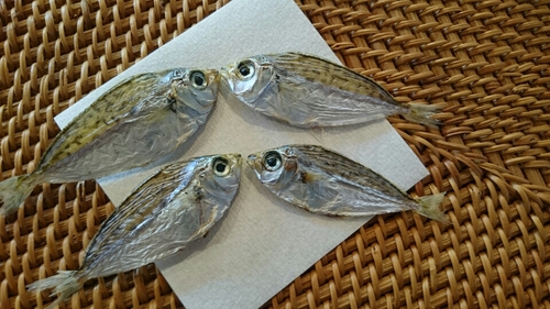 食べ合わせが悪いらしい