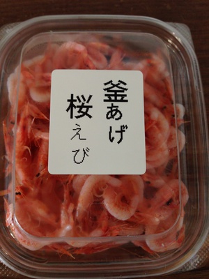 新物