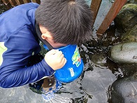 水辺の楽校