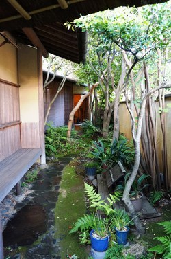皐月のお懐石料理
