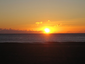 SunRize！