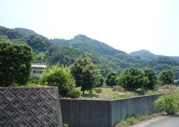 静岡県焼津市花沢