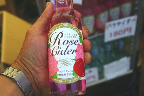 薔薇の撮影会