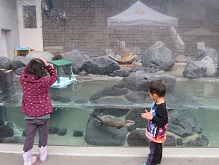 浜松市動物園とパルパル