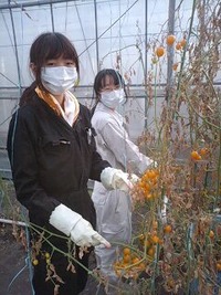 女子大生！！