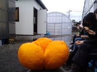 これなんだっ(°□°;)
