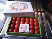 １箱９００円安っ！！