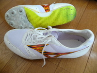 明日は5000m