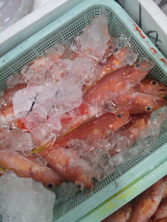 沼津ing