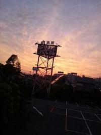 市場デビュー