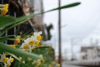 草薙画像掲示板の紹介♪