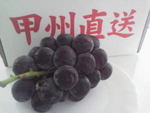 朝どれ