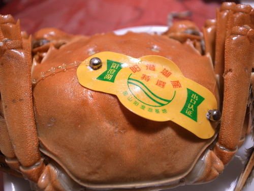 上海蟹