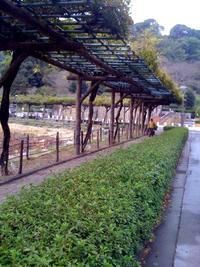 MUSIC ZERO　＠　蓮花寺公園