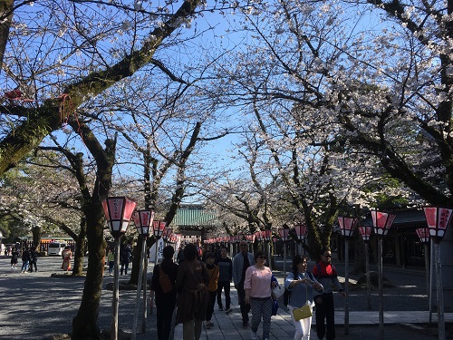 三島は春