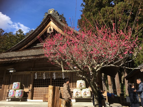 神社巡り　小國神社