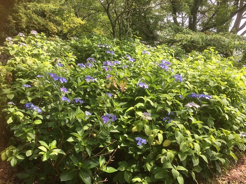 県立美術館散歩2回目