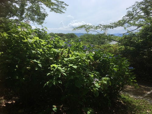 県立美術館散歩2回目