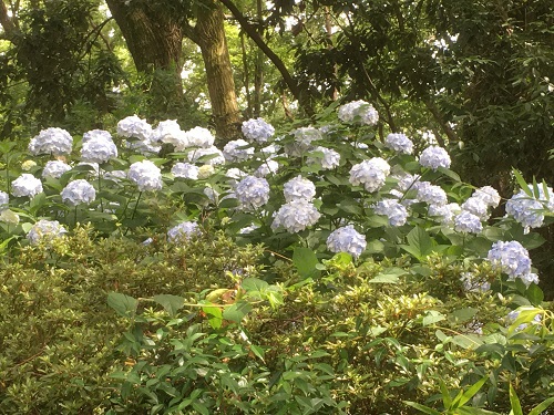 県立美術館散歩2回目