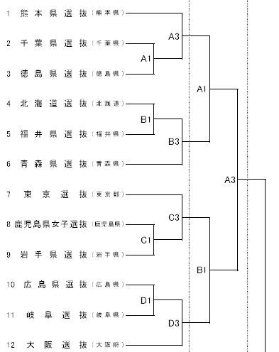 第10回都道府県対抗組み合わせ