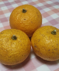 首こり！肩こり・腰重・7月になると痛風が出る！