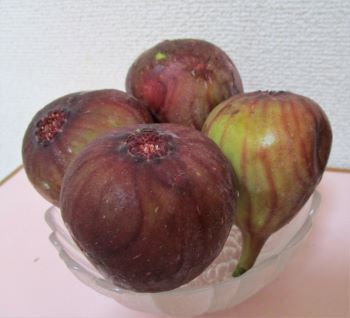 無花果
