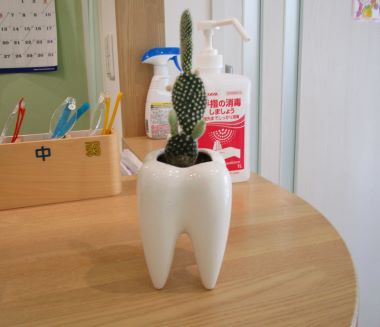 歯からサボテン！