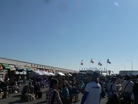 さば祭り