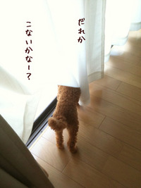 ウンチに血が