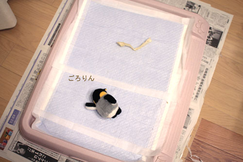ある日のトイレ