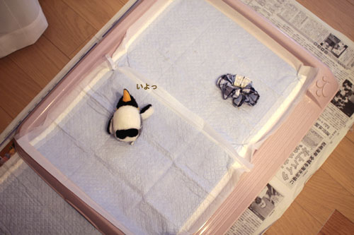 ある日のトイレ