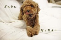 大腸炎から復活