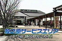 東名高速道路・・・穴場スポット